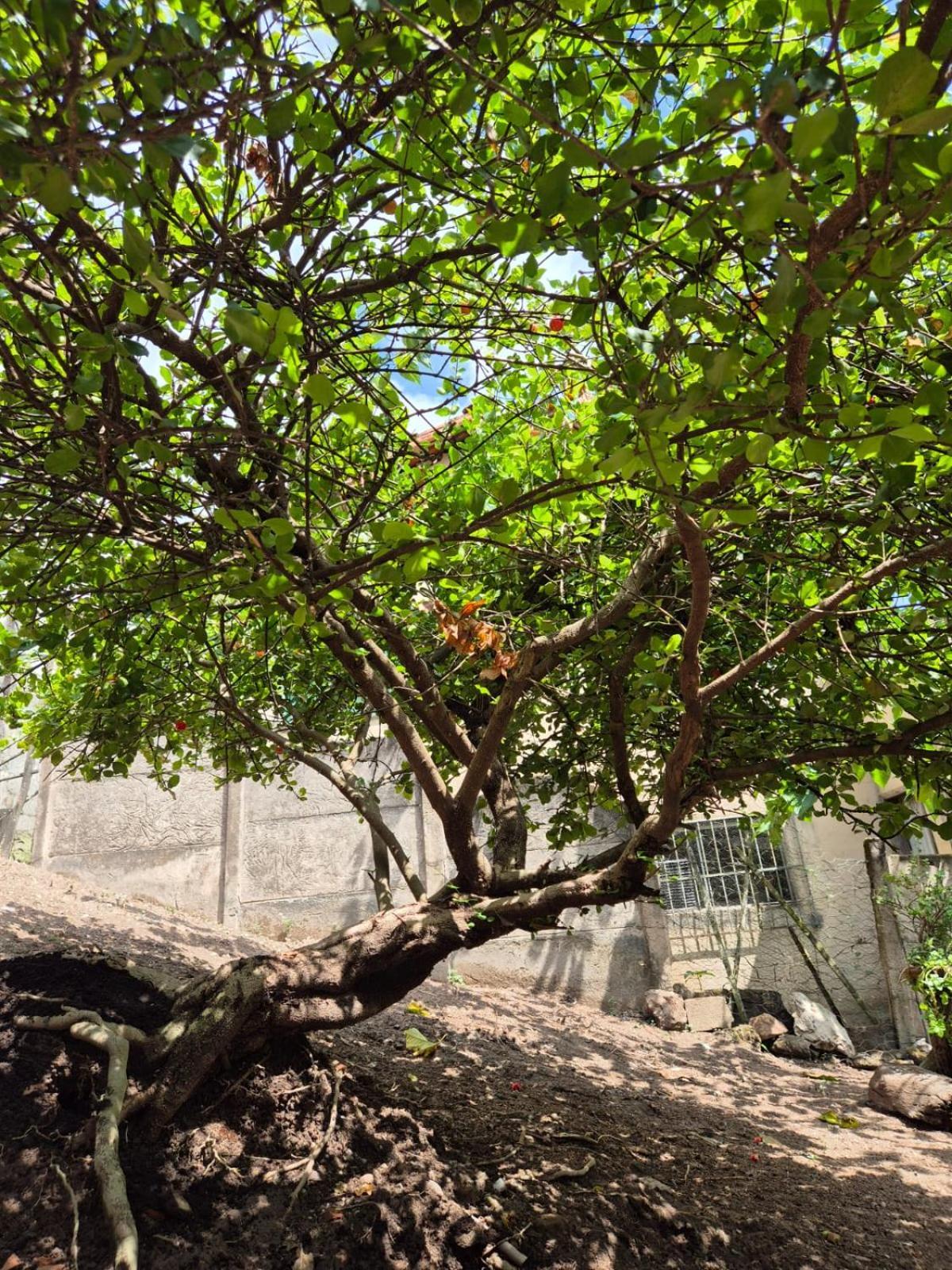 Pousada Verde Villas برومادينهو المظهر الخارجي الصورة